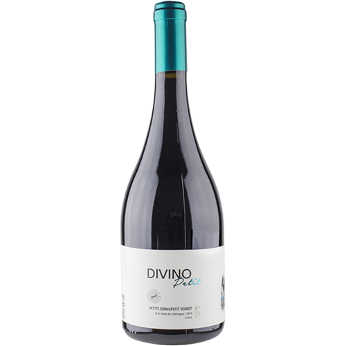 divino141517