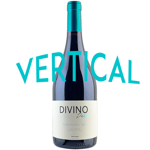 vertical divp